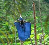 Alas Harum Swing and Zipline Adventure in Ubud – With Lunch, photo 4