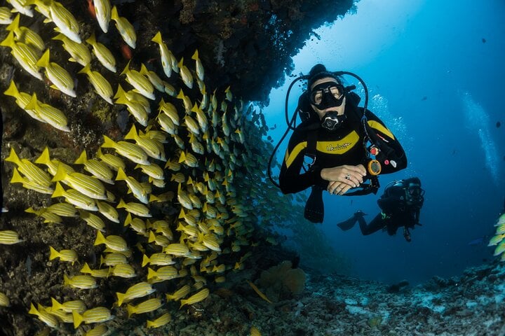 Scuba Diving Adventure in Dubai, photo 4