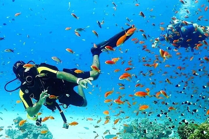 Daily Boat Diving with Lunch in Sharm El Sheikh, photo 3