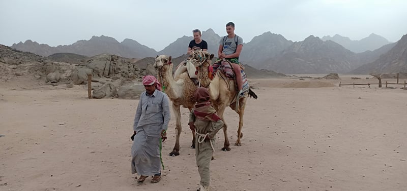 Desert Mega Safari with Quad Buggy and Camel in Hurghada, photo 3