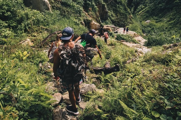 Half-Day El Yunque Rainforest Hike and Waterslide in Fajardo, photo 2