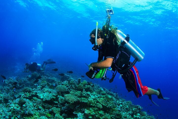 Scuba Diving Adventure in Alanya, photo 5