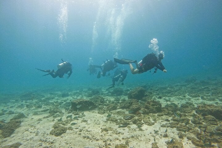 Two Certified Dives with Transfer in Fujairah, photo 2