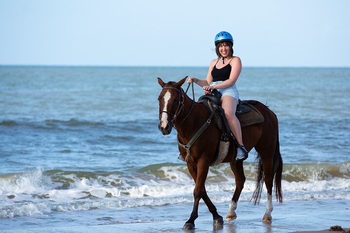 3-Hour Swim with Horses Experience in Hurghada, photo 4