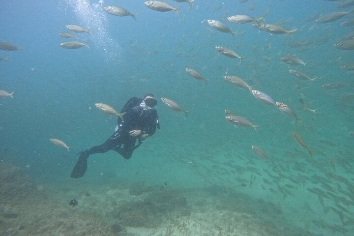 Full Day: Three Certified Dives in Dibba Musandam, Oman, photo 5
