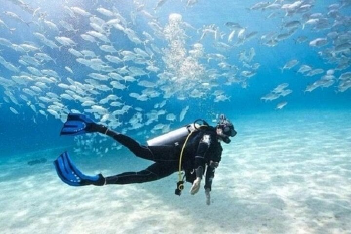 Beginner Scuba Boat Trip in Marsa Alam, photo 3