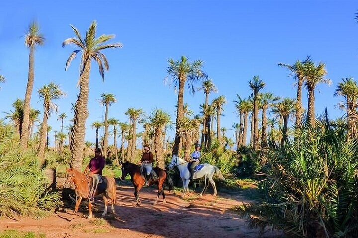 Two Hour Horse Ride in the Palmeraie, photo 3