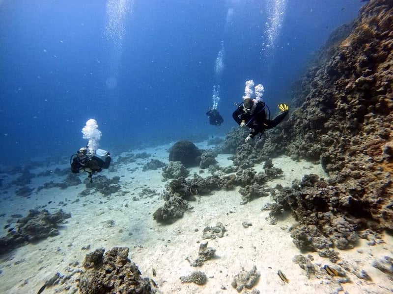 Red Sea Diving Trip for Certified Divers from Hurghada, photo 5