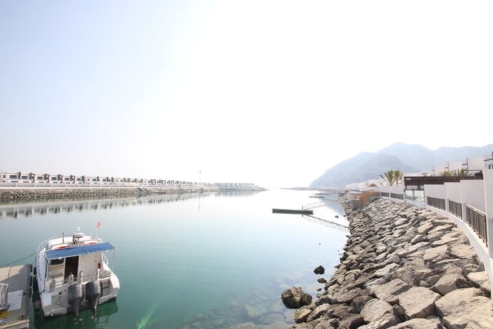 Two Boat Dives in Fujairah for Certified Divers, photo 3