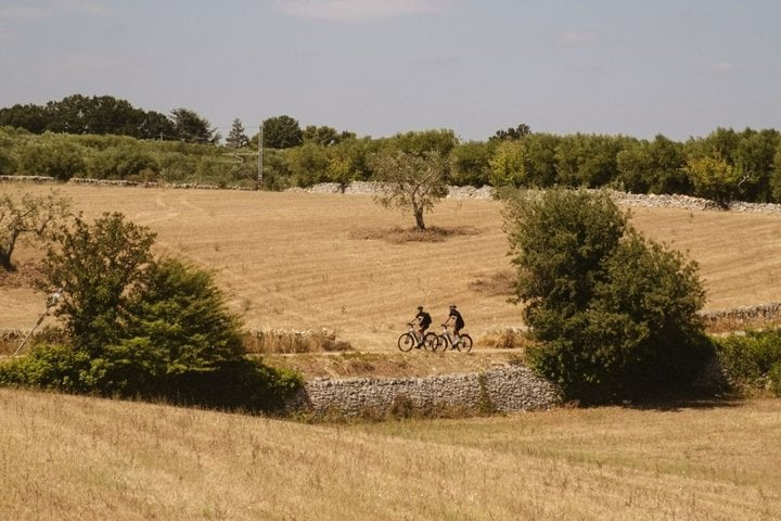 E-Bike Food and Wine Tour in Alberobello, photo 4