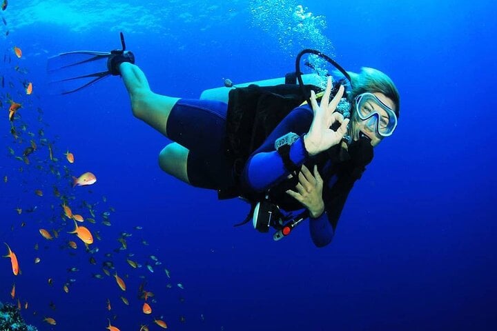 PADI Open Water in Marsa Alam, photo 5