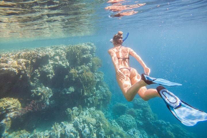 Coral Gardens Snorkel in Marsa Alam, photo 4