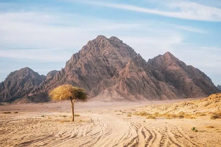 Sinai Desert Private Buggy Adventure from Sharm El Sheikh, photo 2