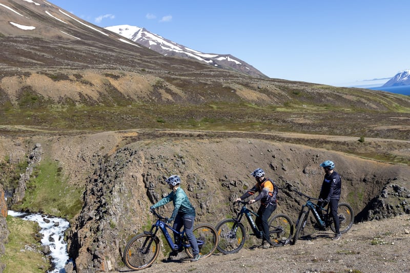 Taste of E-Mountain Biking Session in Dalvik, photo 5