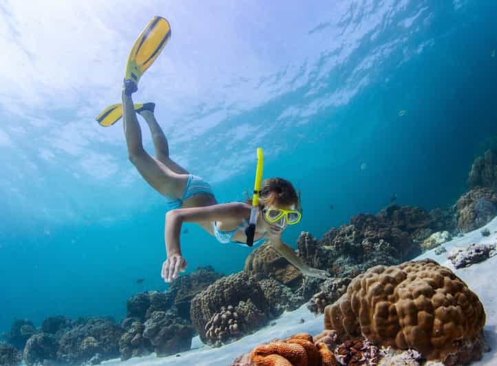 Ras Mohamed Snorkelling by Boat in Sharm El Sheikh, photo 2