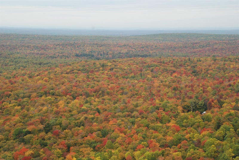 Private Fall Foliage Helicopter Tour from Westchester, photo 2