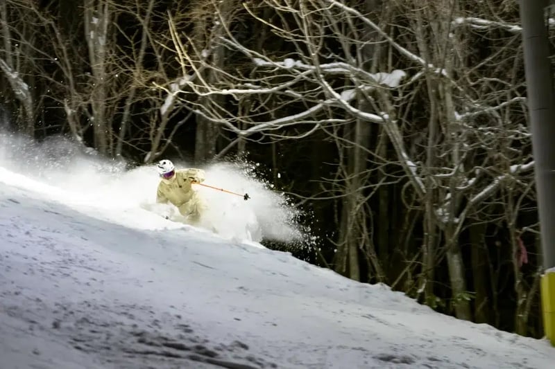 Private Ski and Snowboard Day Tour from Nagano, photo 2