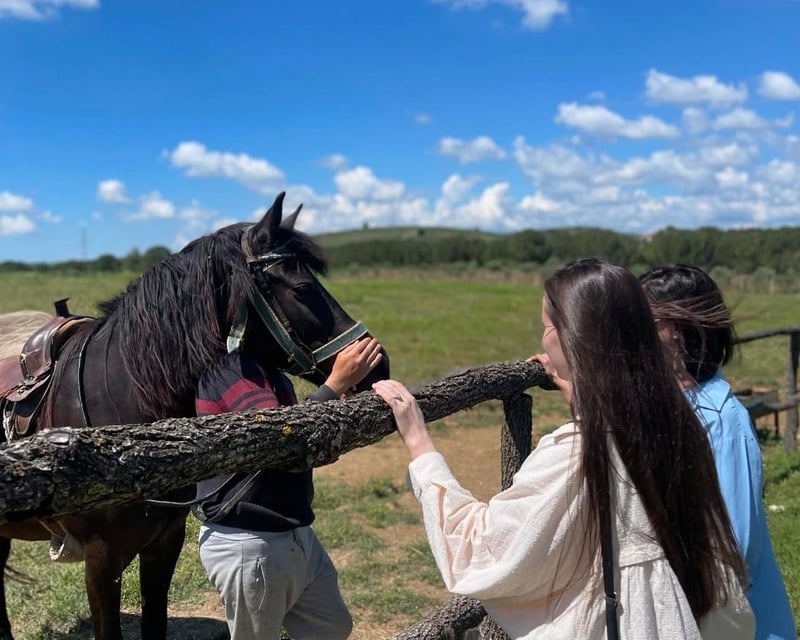 Horseback Ride in Berat, photo 5