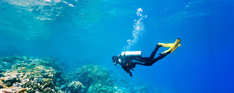 Ras Mohamed Snorkelling by Boat in Sharm El Sheikh, photo 3