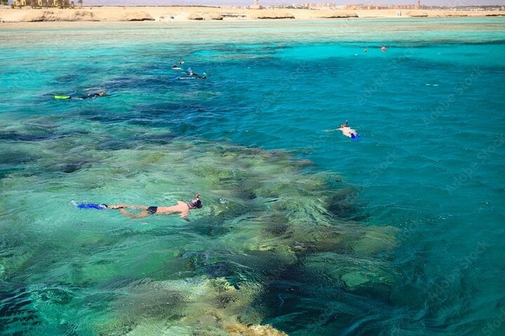 Coral Gardens Snorkel in Marsa Alam, photo 5