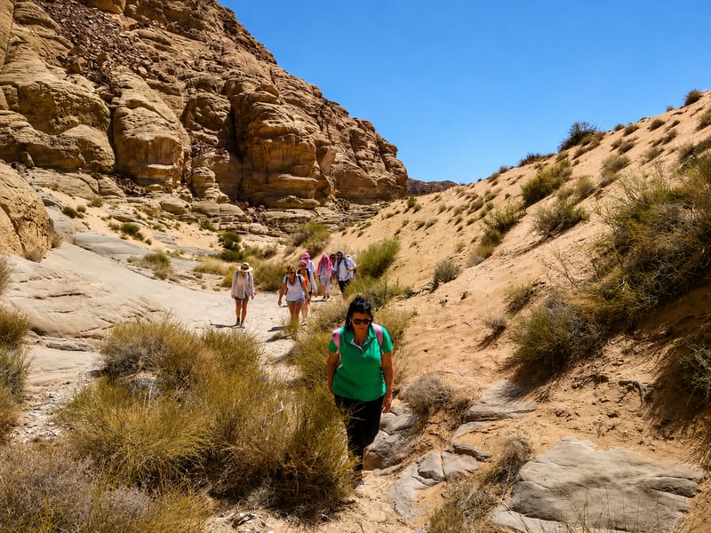 Jabal Al-Hash Summit Hike with Sunset in Wadi Rum, photo 5