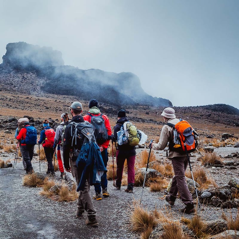 8-Day Kilimanjaro Climb via Lemosho Route, photo 2