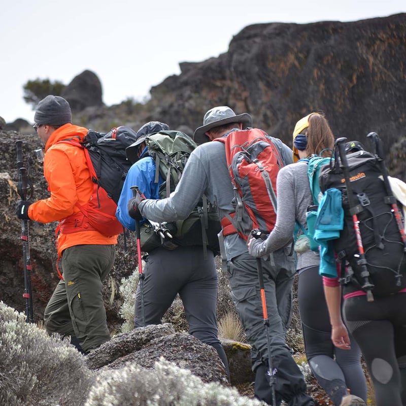 8-Day Kilimanjaro Climb via Lemosho Route, photo 5