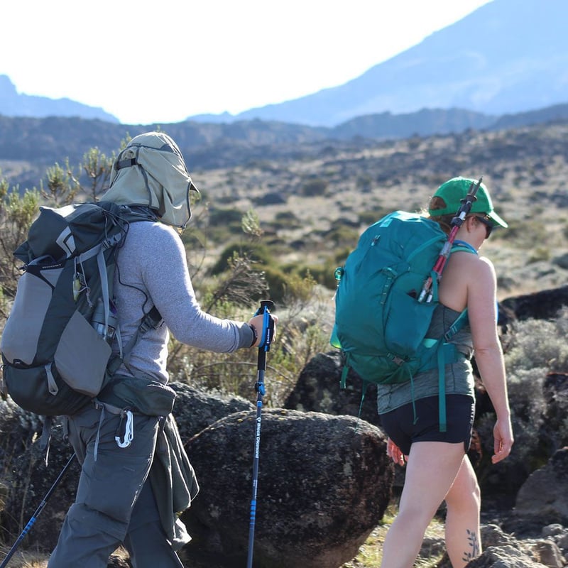 8-Day Kilimanjaro Climb via Lemosho Route, photo 3