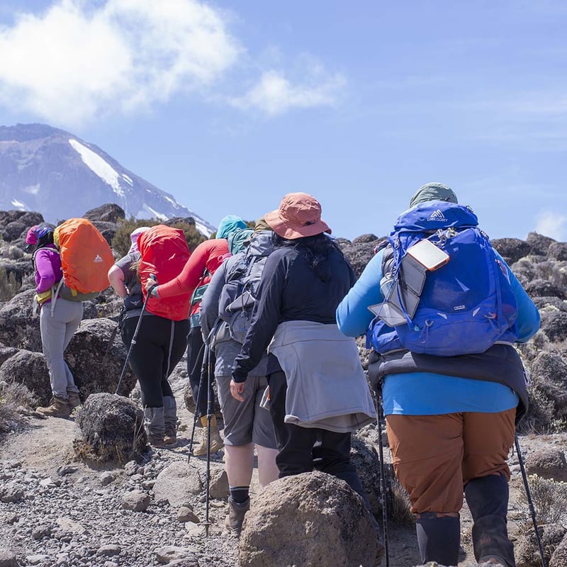 Kilimanjaro Lemosho Route 7 Days, photo 2