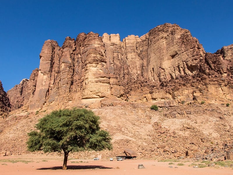 Four-Day Wild Camping Trek in Wadi Rum, photo 3