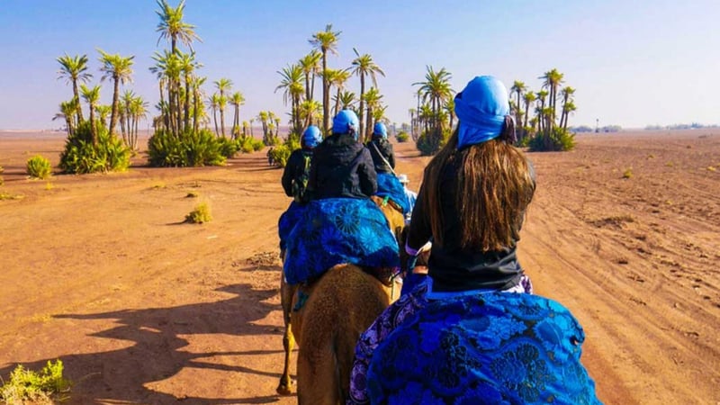 Palmeraie Camel Ride in Marrakech, photo 4