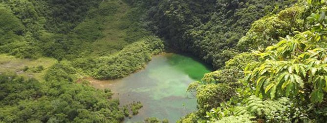 Liamuiga Volcano Crater Hike in St Kitts, photo 2