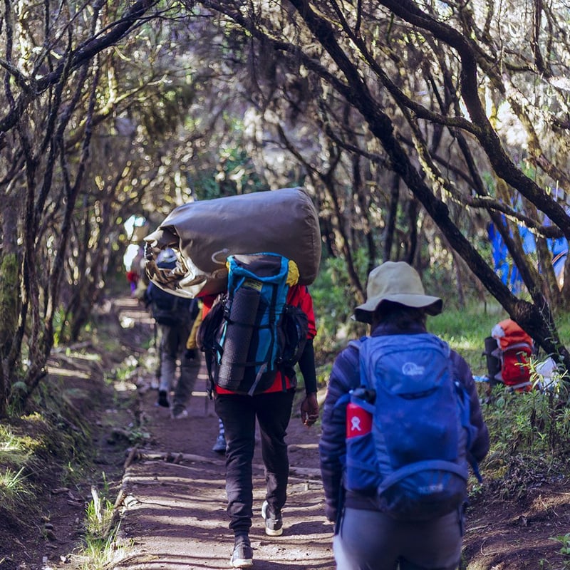 Kilimanjaro Machame Route 7 Days, photo 4