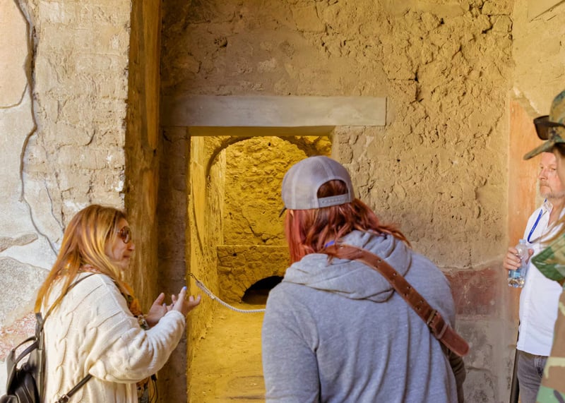 Pompeii and Vesuvius Hike with Wine in Pompei, photo 5