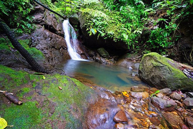 Wingfield Rainforest Hike in St Kitts, photo 4