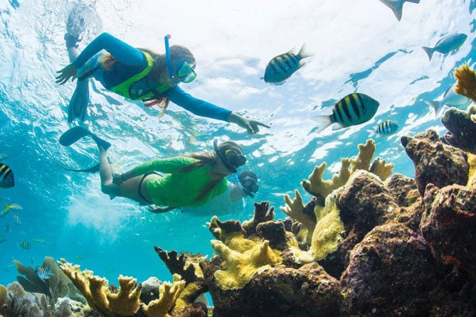 Full Day Catamaran Sail and Snorkel in St Kitts, photo 2