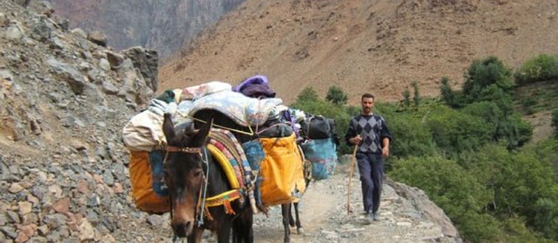 Randonnée de 15 jours dans les villages de l’Atlas et trek à dos de chameau dans le Sahara au départ de Marrakech, photo 3
