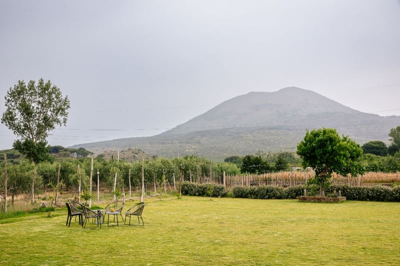 Pompeii and Vesuvius Hike with Wine in Pompei, photo 4