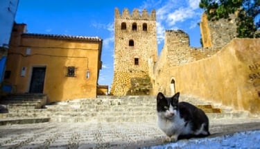 2-Day Casablanca to Chefchaouen Hiking Tour, photo 4