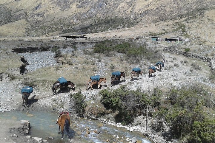 5 Day Salkantay Trek to Machu Picchu in Cusco, photo 5