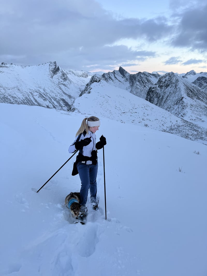 Snowshoe Hike to Husfjellet in Senja, photo 5