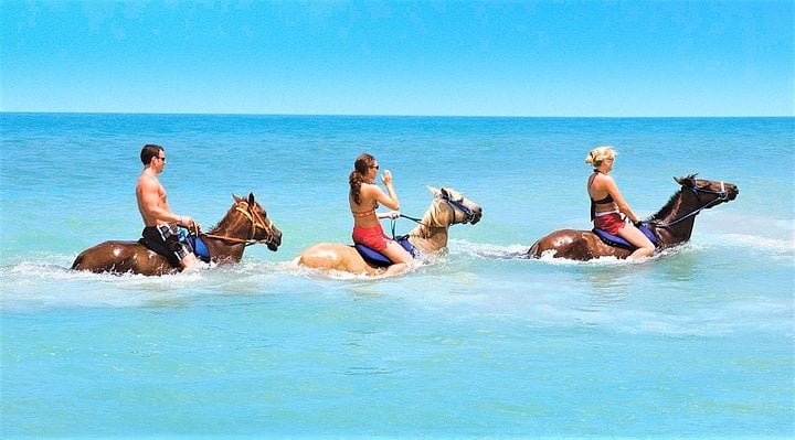Horseback Riding and River Rapids in Trelawny, photo 2