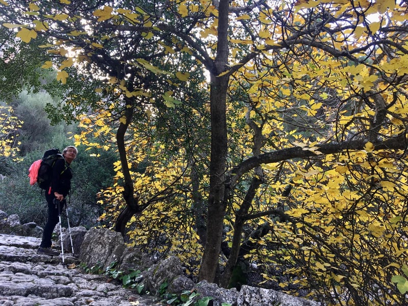 Gorge Hike in Sóller, photo 3