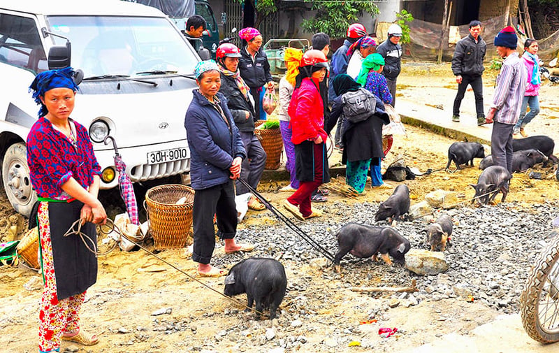 9 Day Trekking in Northern Vietnam, photo 2