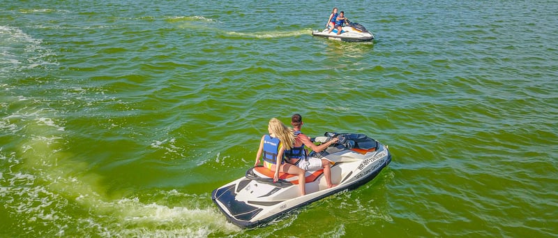 Waverunner Mangrove Tour in Cancún, photo 5
