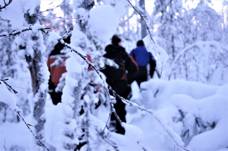 Snowshoe Hiking in Rovaniemi, photo 5