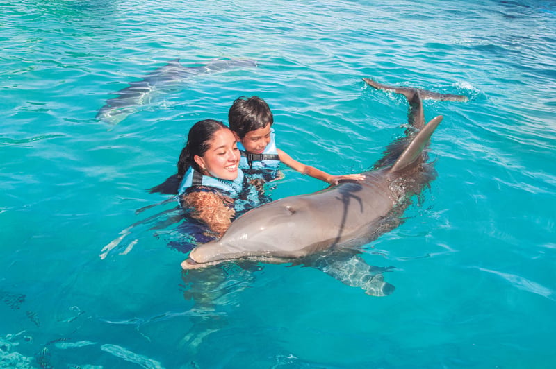 Catamaran Snorkel and Dolphin Tour in Isla Mujeres, photo 3