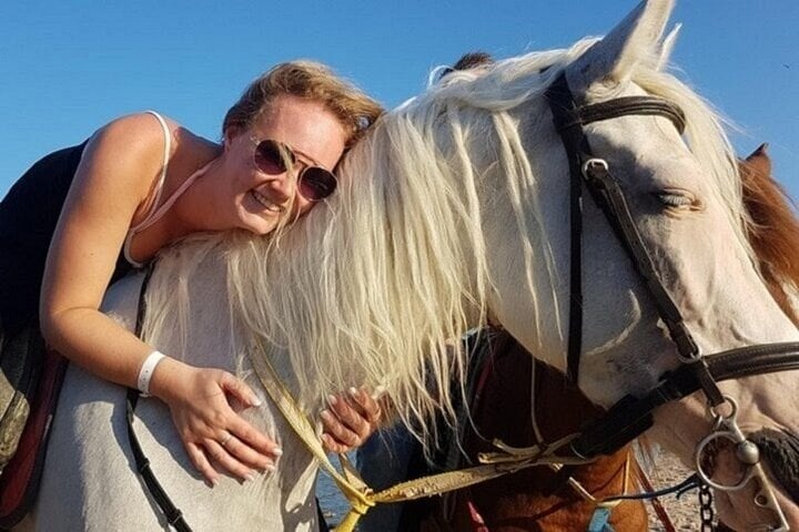 2 Hour Horse Riding Safari Adventure and ATV Quad in Sharm El Sheikh, photo 3
