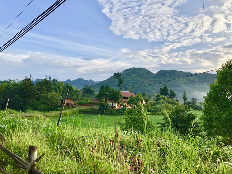 8 Day Trekking Tour in Northern Vietnam, foto 4