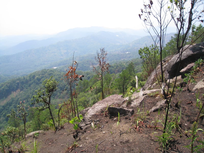 Full-Day Eliminator 2 Advanced XC DH Ride in Chiang Mai, photo 5